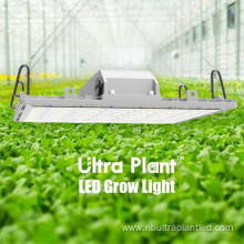 660nm LED Indoor All Deep Red Plant Light